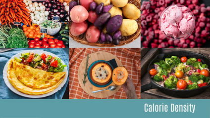 Product image for Calorie Density