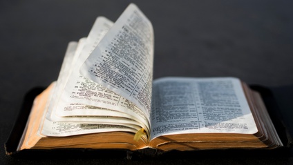 Product image for Bible Literacy (Part 2)