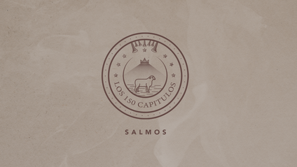 Product image for Salmos (150 Capítulos)