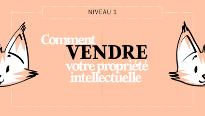Product image for NIVEAU 1 : Comment Vendre votre livre