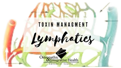 Product image for Toxin Management: Lymphatics