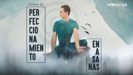 Product image for Optimiza tu Práctica de Yoga