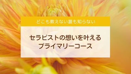 Product image for プライマリーコース