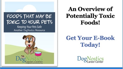 Product image for E-Book - Food That May be Toxic for Pets