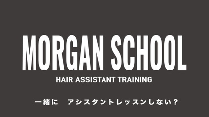 Product image for MORGAN SCHOOL