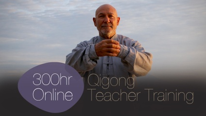 Product image for Level 2-300-Hours Live Online Qigong Teacher Training LO2 | March 2024