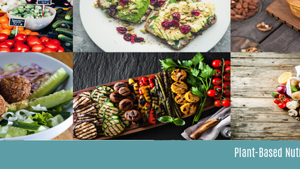 Product image for Plant-Based Nutrition