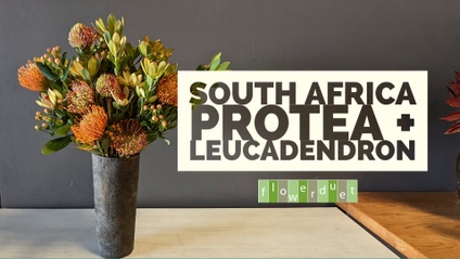 Product image for Flower Arranging Fridays: South African Protea Design