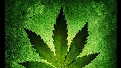 Product image for Basic Cannabis Dispensary Training