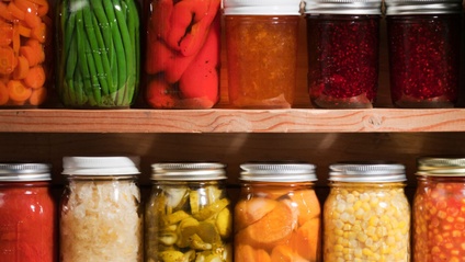 Product image for Preserving the Harvest