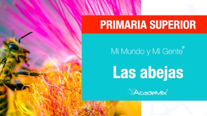 Product image for 5º. 16. Las abejas (Maestro)