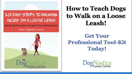Product image for 10-Steps to Walking Nicely on a Loose Leash - Your Professional Tool-Kit
