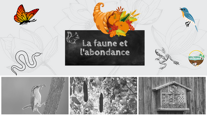 Product image for La faune et l'abondance