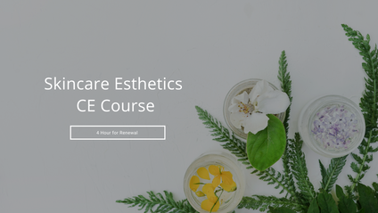 Product image for 4 hour Skincare Esthetics Course