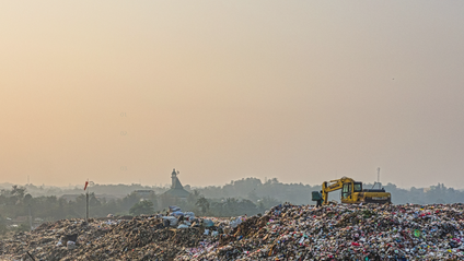 Product image for Plastic pollution - an introduction