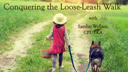 Product image for Conquering the Loose-Leash Walk