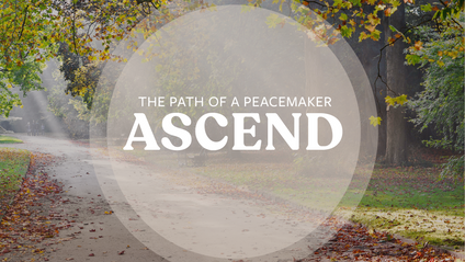 Product image for ASCEND Toolbox