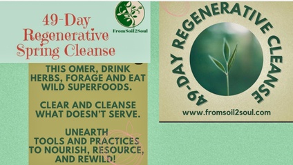 Product image for 49-Day REGENERATIVE CLEANSE with DEV BROUS and YAELLE E. SHAPHIR, L.AC