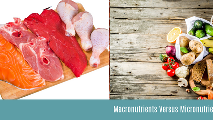 Product image for Macros versus Micros