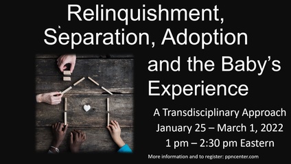 Product image for Relinquishment, Separation, Adoption, and the Baby's Experience