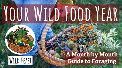 Product image for Your Wild Food Year: Tier 2 (Wild Feast)