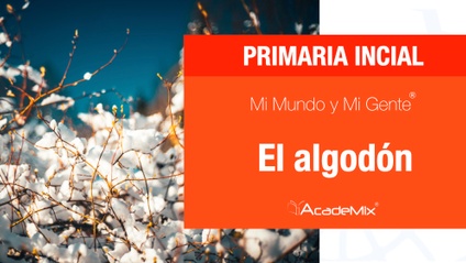 Product image for 1º. 24. El algodón (Maestro)