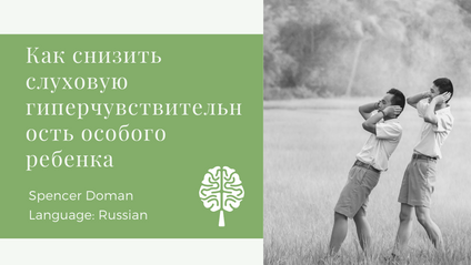 Product image for Treating Auditory Hypersensitivity in Children with Special Needs - [Russian]