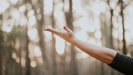 Product image for Women's Wellness Coach Course