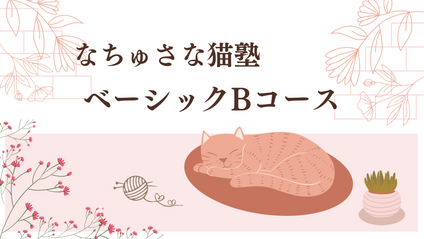 Product image for なちゅさな猫塾・ベーシックBコース