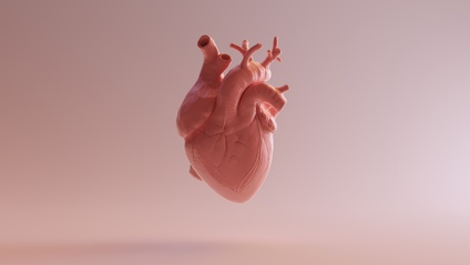 Product image for Read EKGs Like a BOSS!