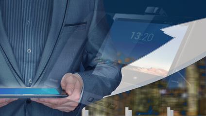 Product image for VoIP Training for Business Professionals