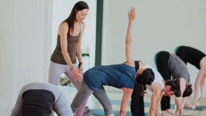 Product image for The Aligned Body Mandala: Forward Bends & Twists