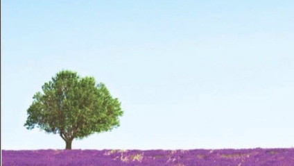 Product image for BOOK: More Money, More Time, Less Stress