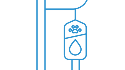Product image for Introduction to Transfusion Medicine