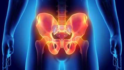 Product image for Pelvic Pain: What is Driving YOUR Symptoms