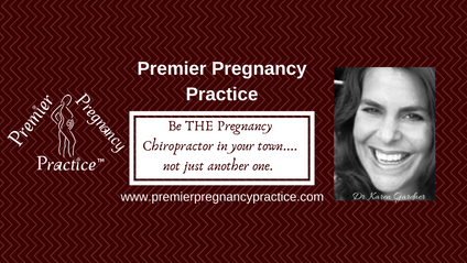 Product image for The Premier Pregnancy Practice - Technique Edition 2021