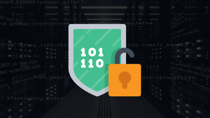Product image for Cryptography Algorithms & Vulnerabilities