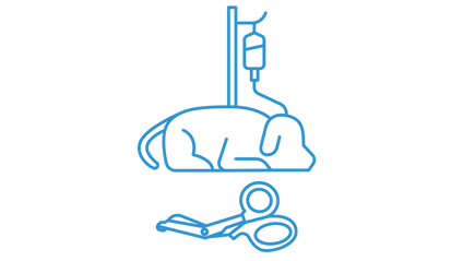 Product image for Shock & Defining an Emergency for Veterinary Technicians