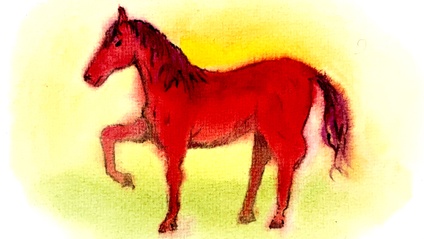 Product image for Second Grade Language Arts and Drawing