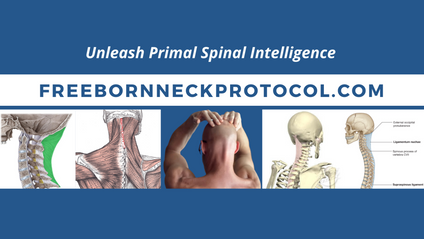 Product image for Freeborn Neck Protocol