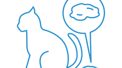 Product image for Chronic Diarrhea in Cats