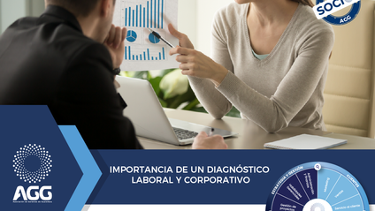 Product image for Importancia de un diagnóstico laboral y corporativo