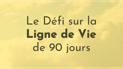 Product image for Le Défi de 90 jours sur la ligne de vie