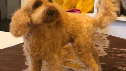 Product image for Dog heads in detail - Curly-haired  module