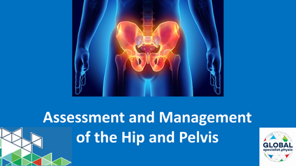 Product image for Assessment and Management of the Hip and Pelvis