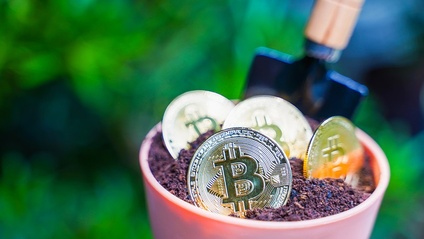 Product image for Earn Passive Income Through Crypto Yield Farming