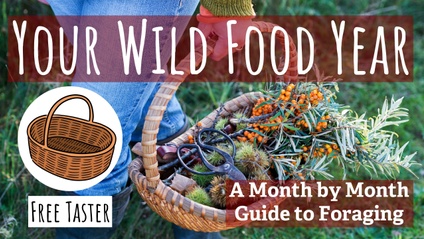 Product image for Your Wild Food Year (Free Taster)