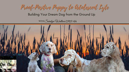 Product image for Proof-Positive Puppy to Adolescent Lyte
