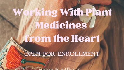 Product image for Working with Plant Medicines from the Heart
