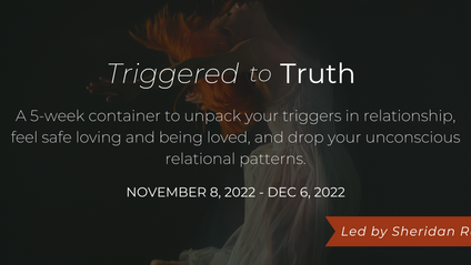 Product image for Triggered to Truth